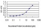 CASP9 Antibody (monoclonal) (M01)